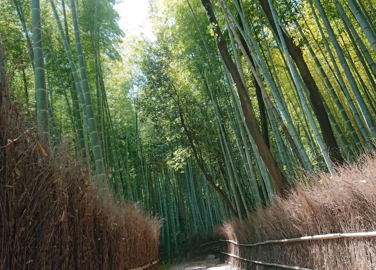 Hotel Arashiyama Kyoto