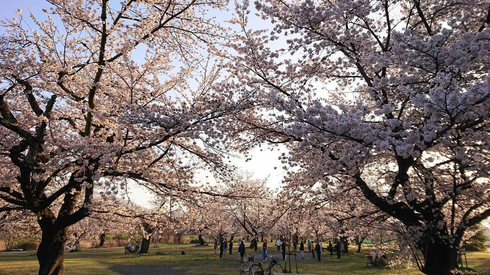 ホテル嵐山 京都市